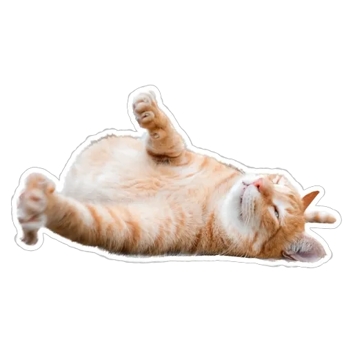 sgn_meow2 - Sticker 29