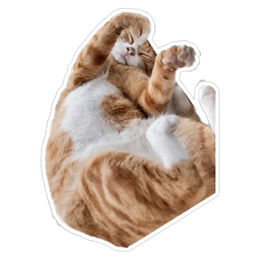 sgn_meow2 - Sticker 15
