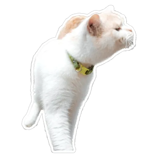 sgn_meow2 - Sticker 17