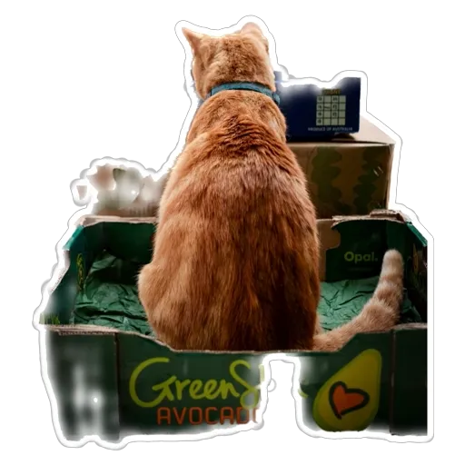 sgn_meow2 - Sticker 14
