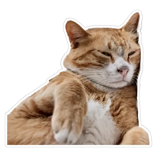 sgn_meow2 - Sticker 16