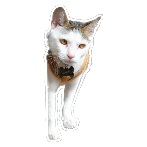 sgn_meow2 - Sticker 12