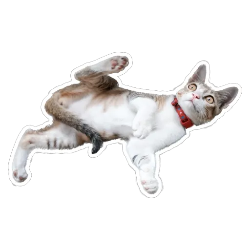 sgn_meow2 - Sticker 25