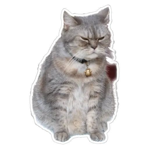 sgn_meow2 - Sticker 10