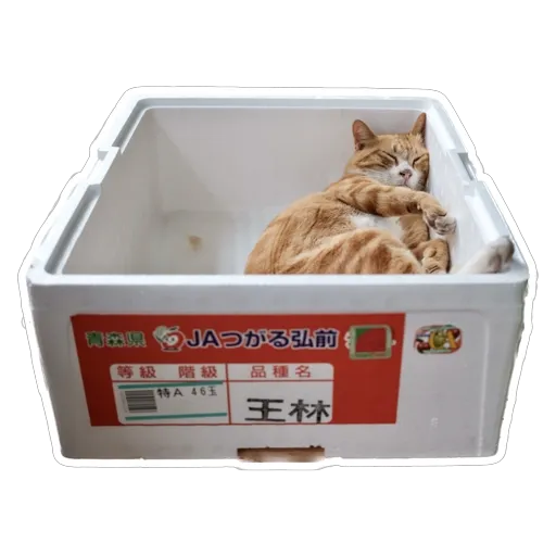 sgn_meow2 - Sticker 13