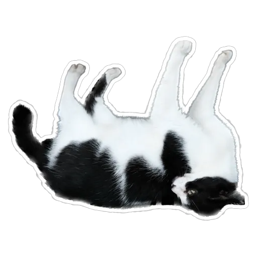 sgn_meow2 - Sticker 30