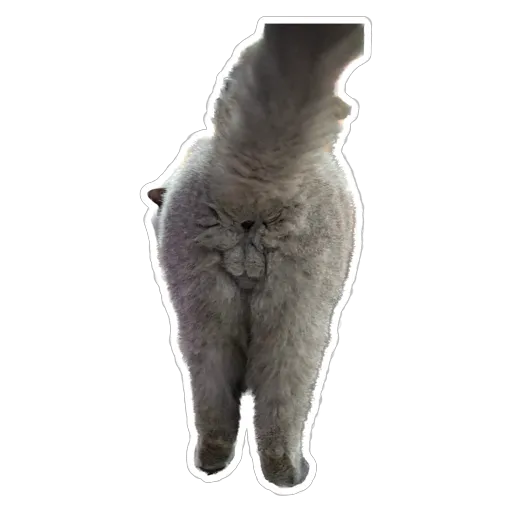 sgn_meow2 - Sticker 18