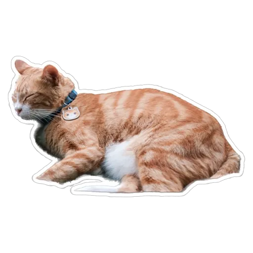 sgn_meow2 - Sticker 22