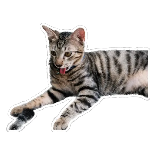 sgn_meow2 - Sticker 28
