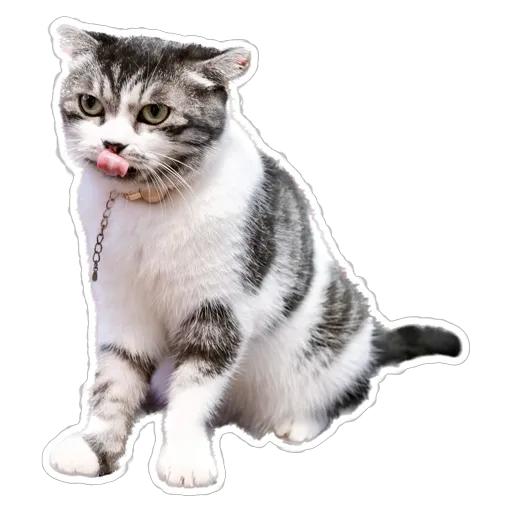 sgn_meow2 - Sticker 20