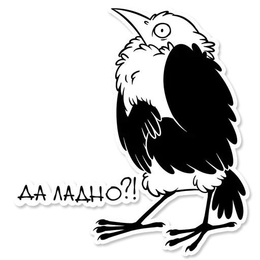 Sova - Sticker 16