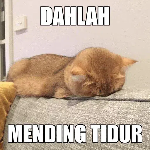 catttt2 - Sticker 10