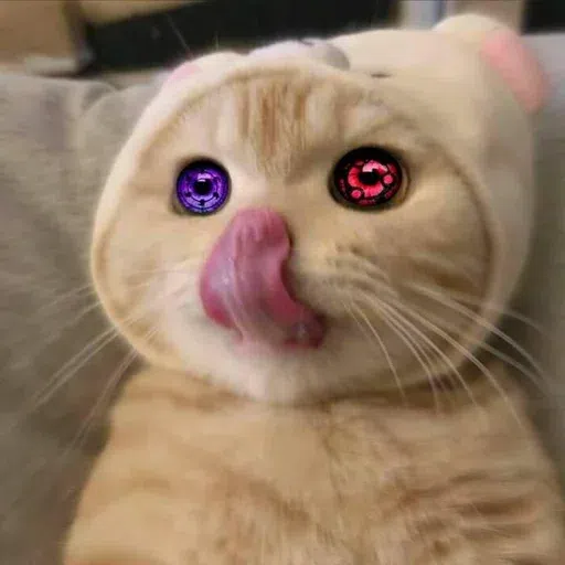 catttt2 - Sticker 16