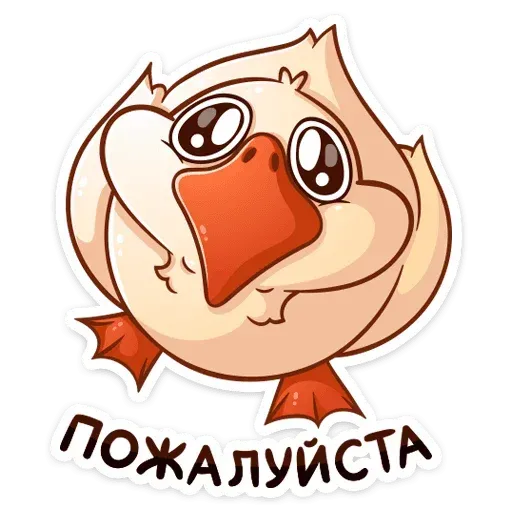 Gus Fedya - Sticker 27