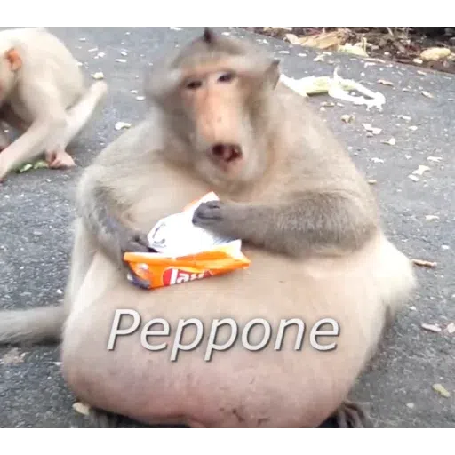 Monkey - Sticker 13