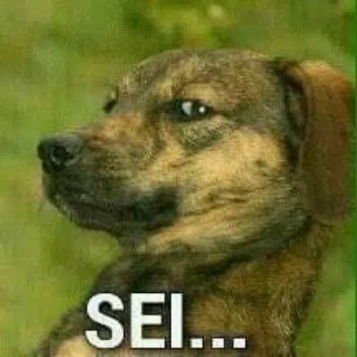 Eita lasqueira - Sticker 18