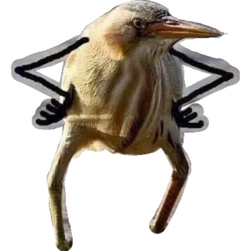 Derp 2 - Sticker 15
