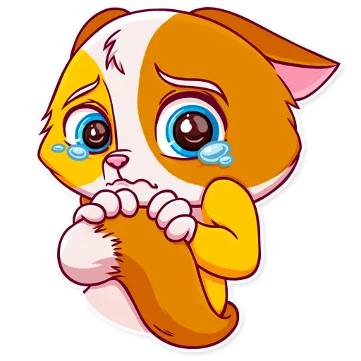 Piscuit cat - Sticker 22