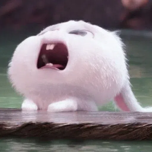 snowball❤️❤️❤️ - Sticker 24