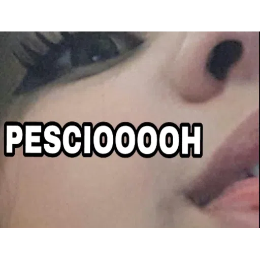 Frasi & faces - Sticker 11