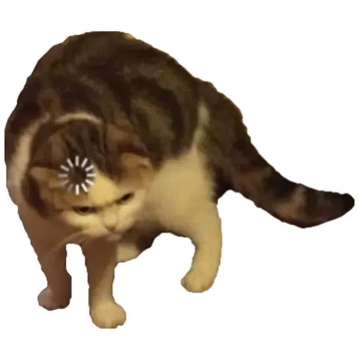fav - Sticker 14