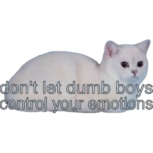 tumblrish - Sticker 22