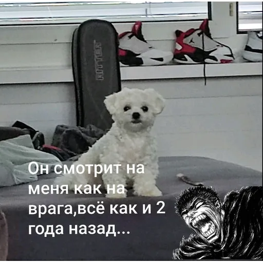 Doggie Woody - Sticker 26