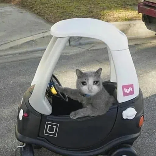 Cat3 - Sticker 30