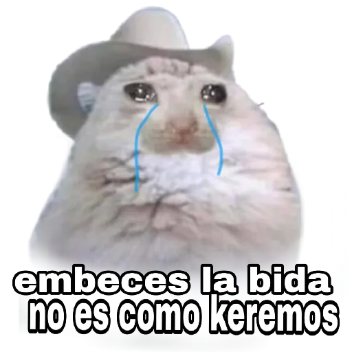 Memes en Español I - Sticker 16