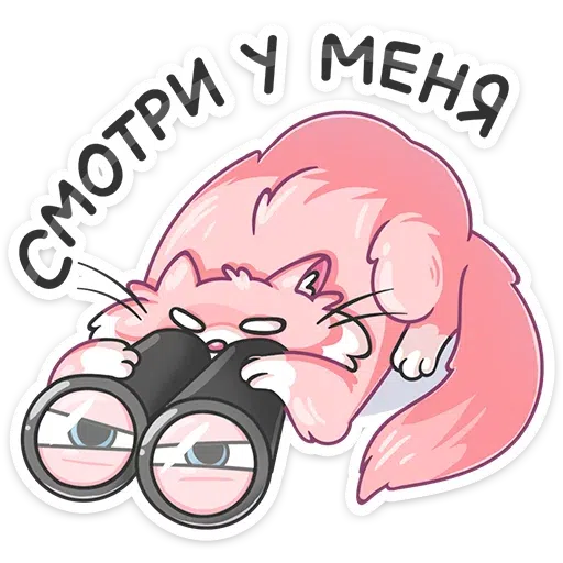 Sugar cat 2 - Sticker 13