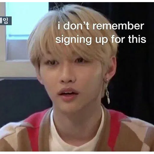 stray kids - Sticker
