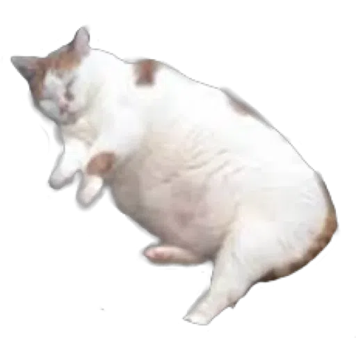 Memes 1 - Sticker 22
