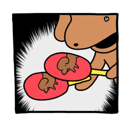 Stick it around! KOINU-2 - Sticker 17