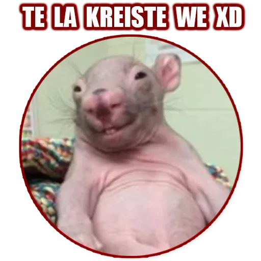 Random - Sticker 29