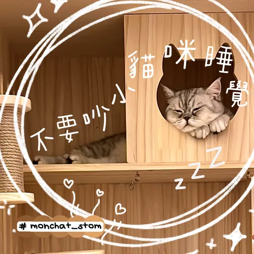 我家暖暖♥️ - Sticker 10