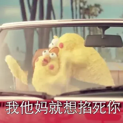 鸚鵡表情包 - Sticker 24