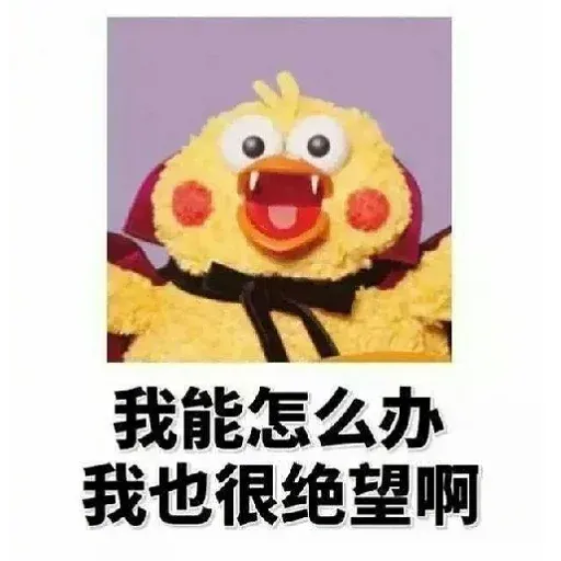 鸚鵡表情包 - Sticker 10