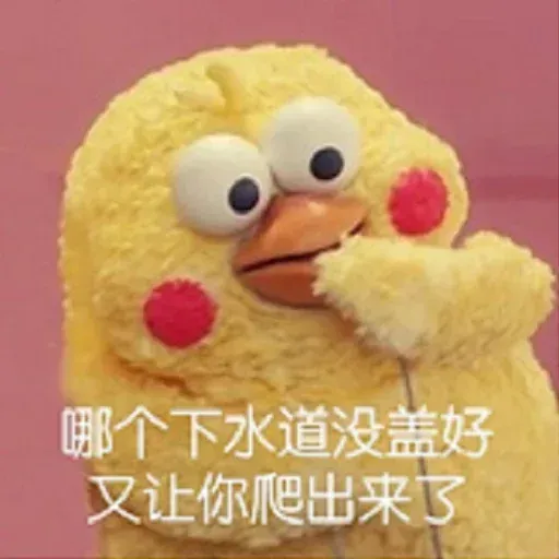 鸚鵡表情包 - Sticker 16