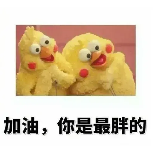 鸚鵡表情包 - Sticker 9