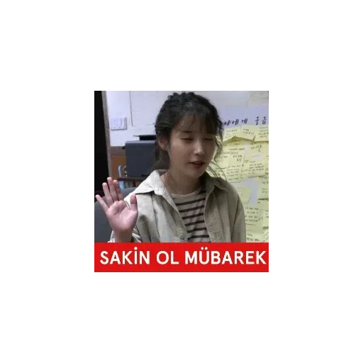 K - pop  - Sticker 10