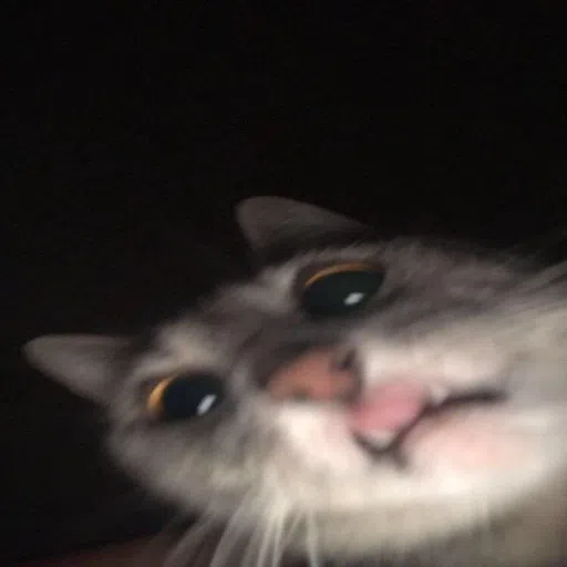 CAT - Sticker 9