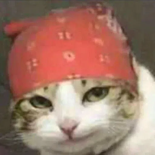 CAT - Sticker 14