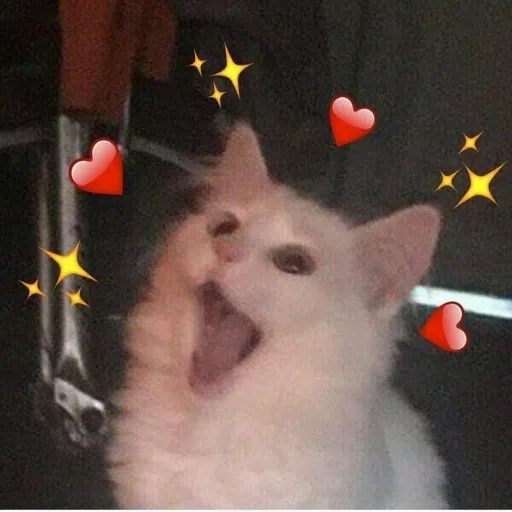 CAT - Sticker 27