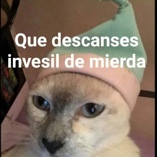 CAT - Sticker 17