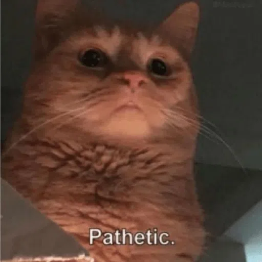 CAT - Sticker 25