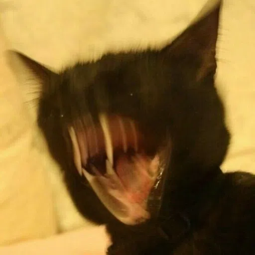CAT - Sticker 15