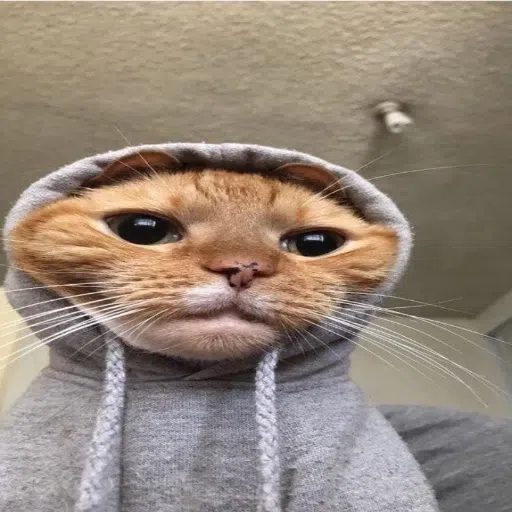 CAT - Sticker 22