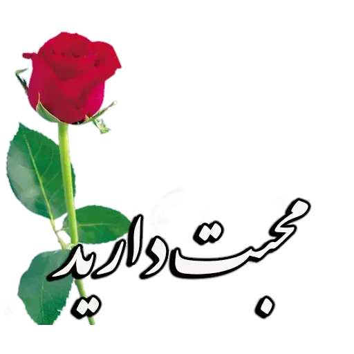 Neveshtar - Sticker 17