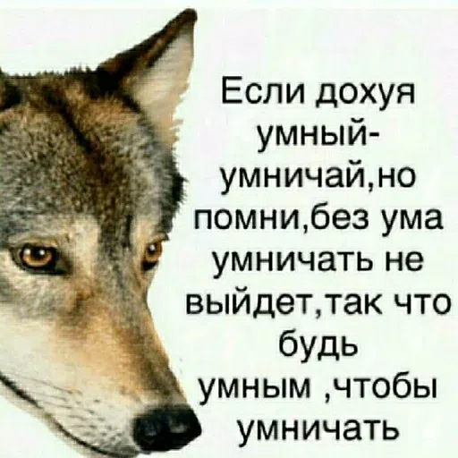 арабы - Sticker 27
