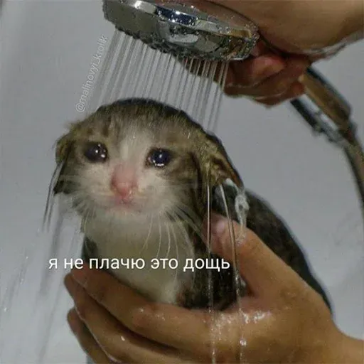 🥺 - Sticker 30